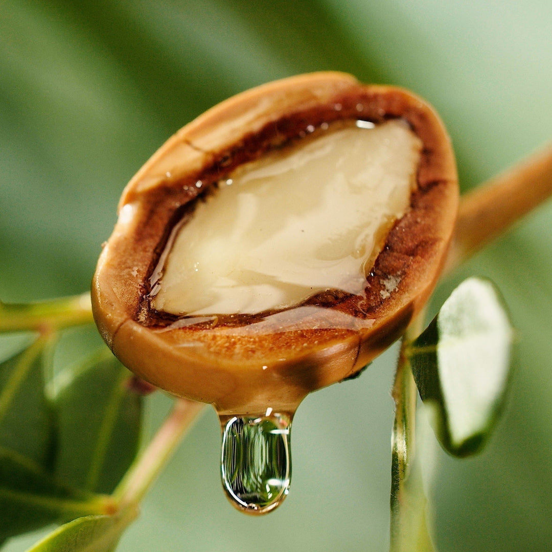A close-up of a halved argan kernel showing a glossy pale cream interior, with a clear droplet hanging below and a soft green leafy background.