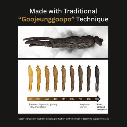6-Year-Old Fermented Black Ginseng Extract