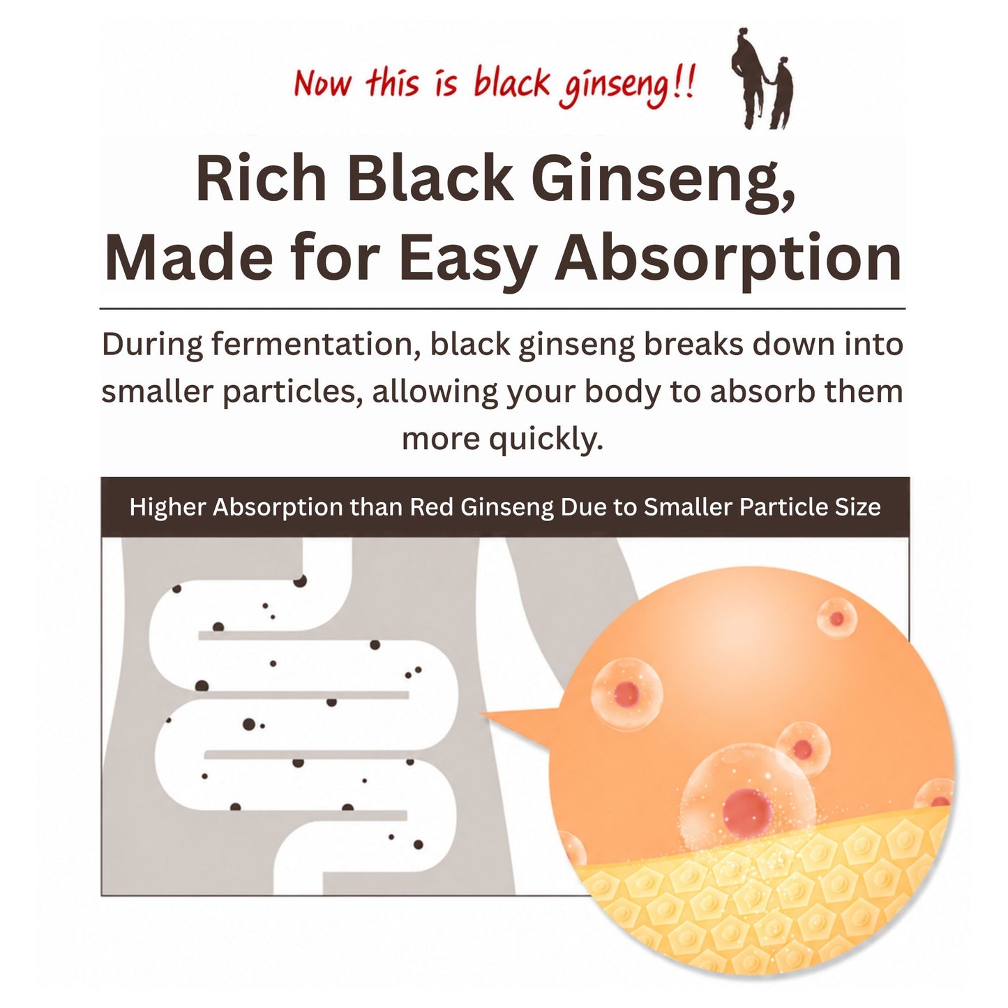 6-Year-Old Fermented Black Ginseng Extract