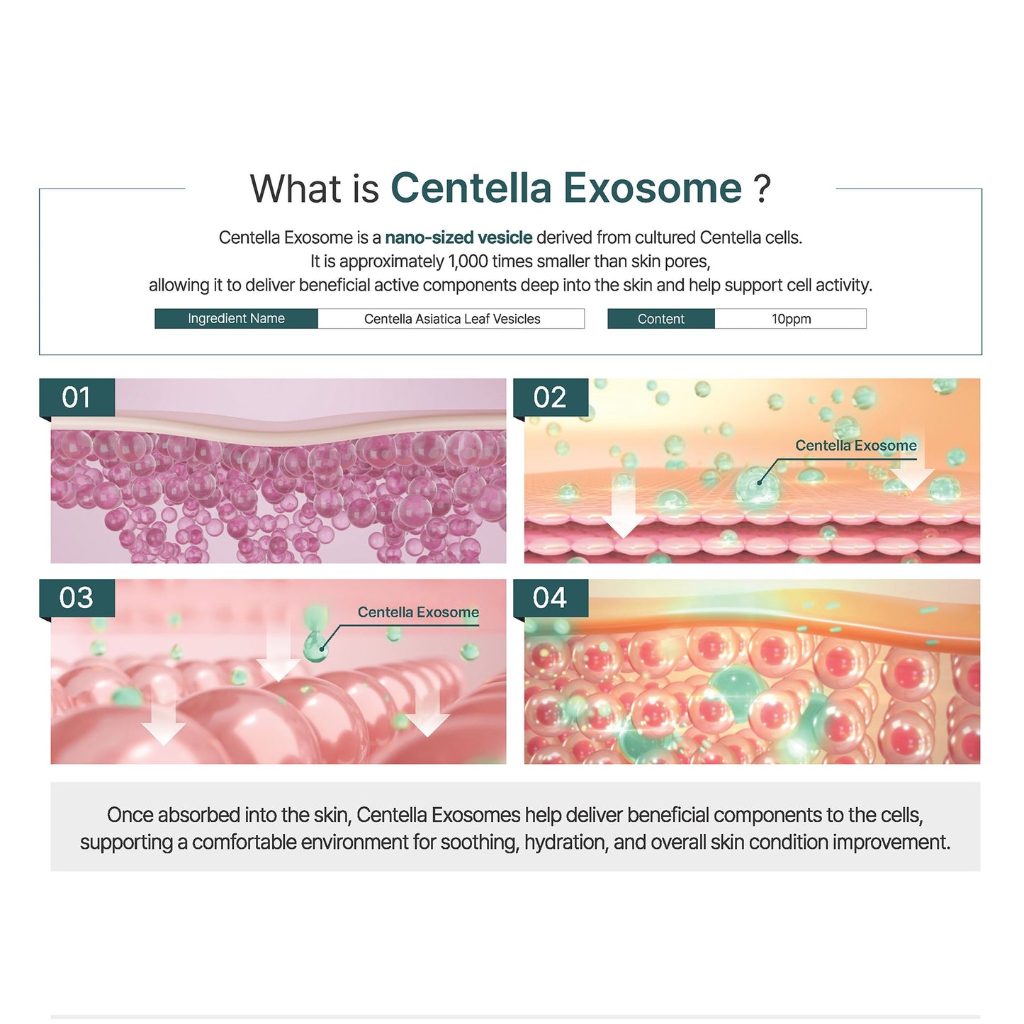 Centella Exosome Calming Ampoule