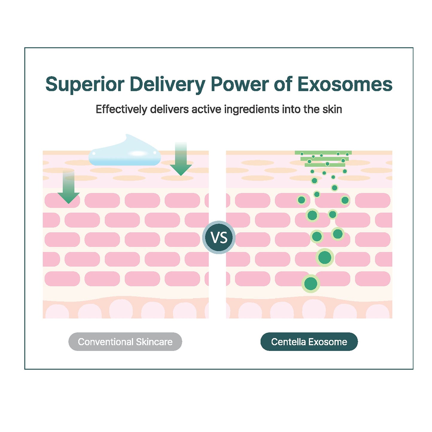 Centella Exosome Calming Ampoule