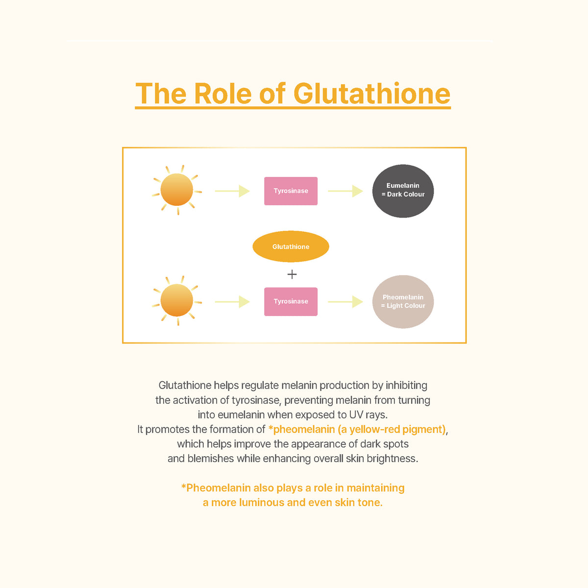 Glutathione Niacinamide Multi Ampoule