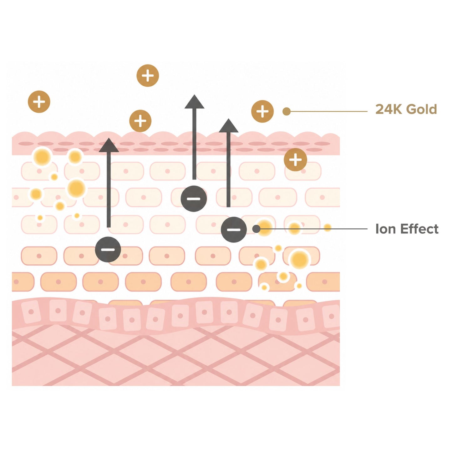 Gold Activation Rich Cream