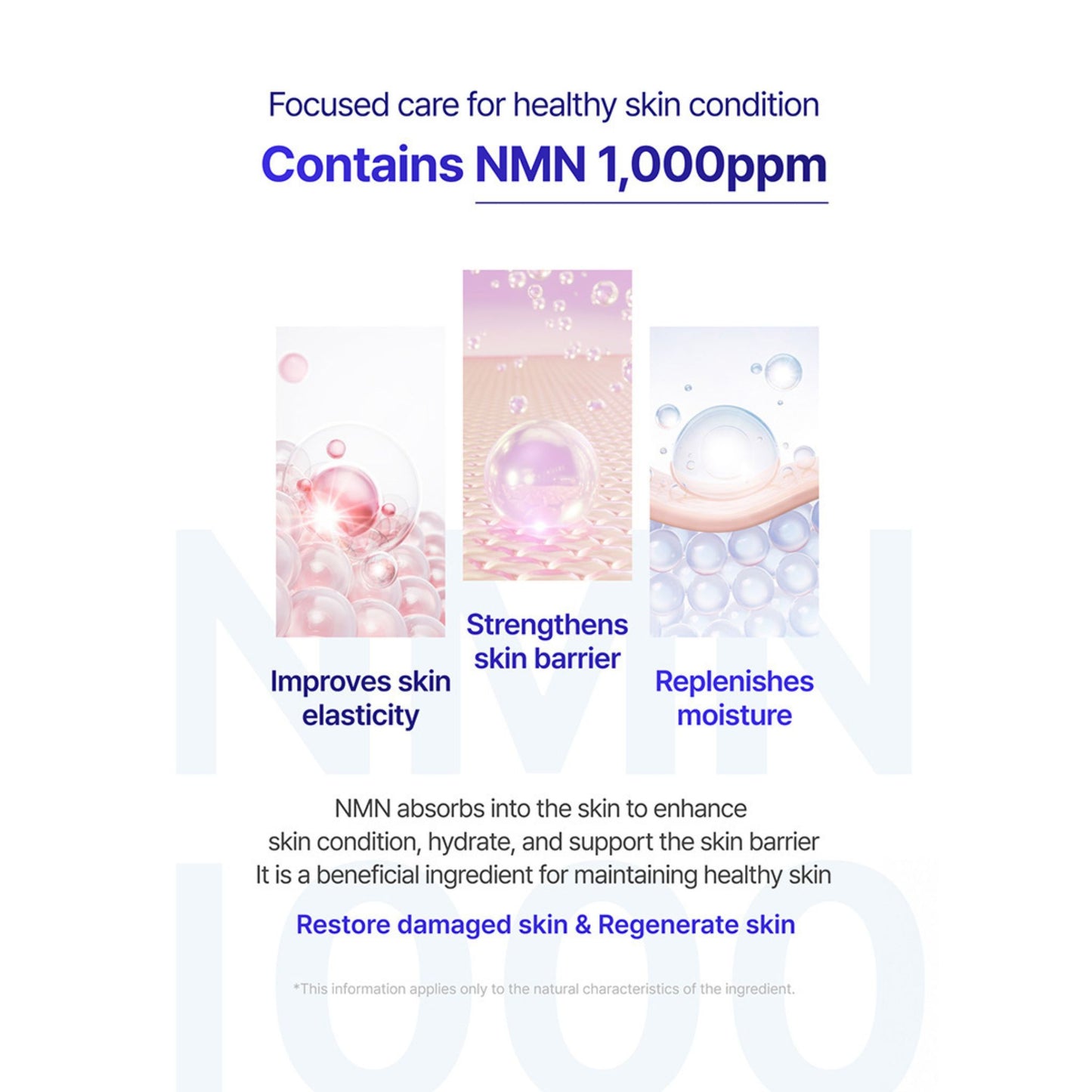 NMN PDRN Timeless Ampoule