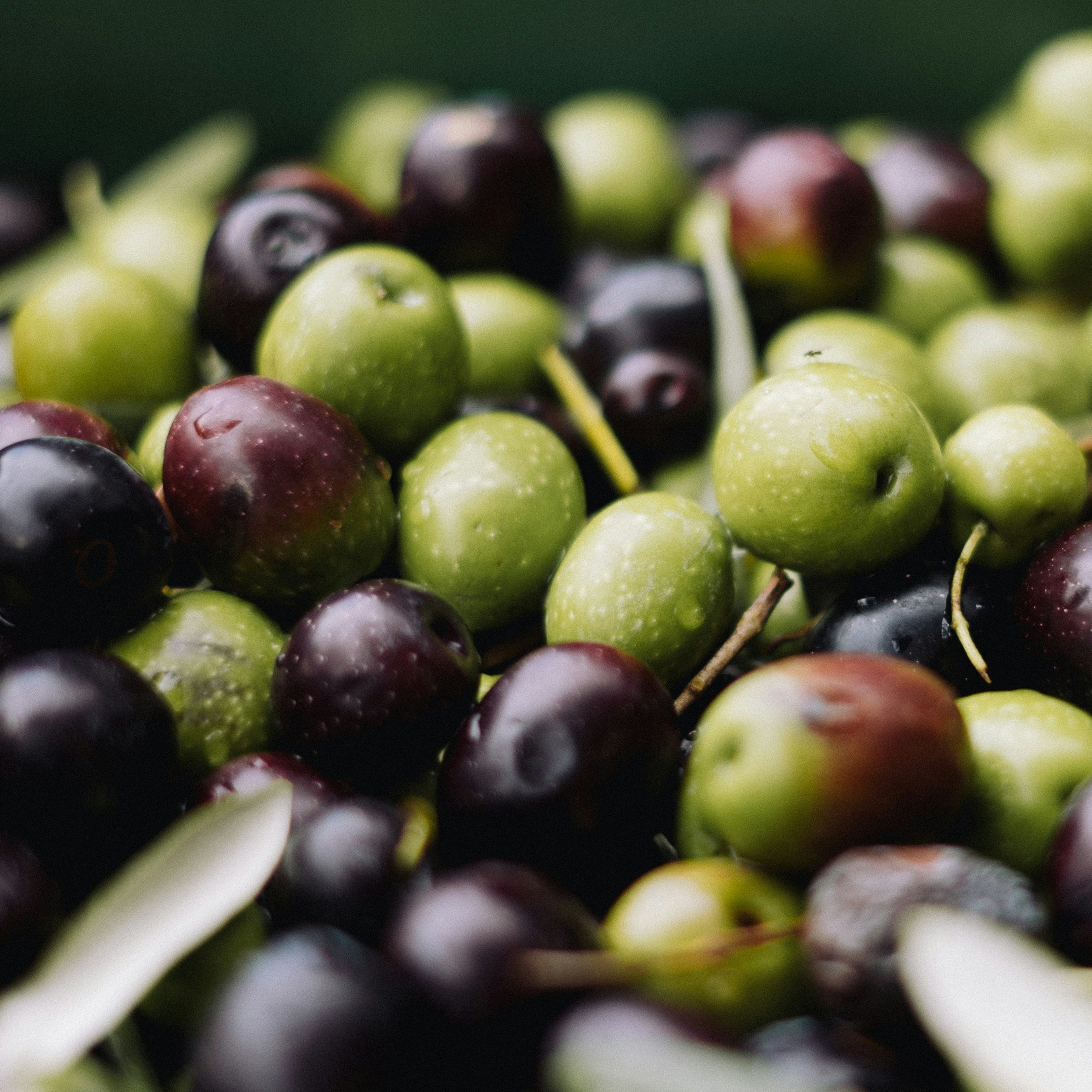 Close-up of a pile of green and black olives